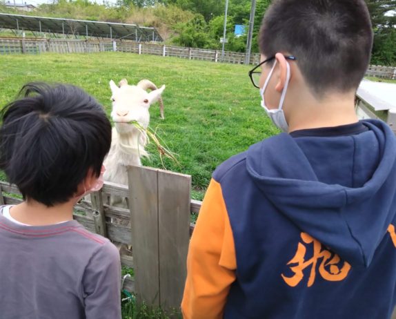 のあ：動物ふれあい