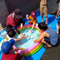 ぱぷりか：夏の思い出