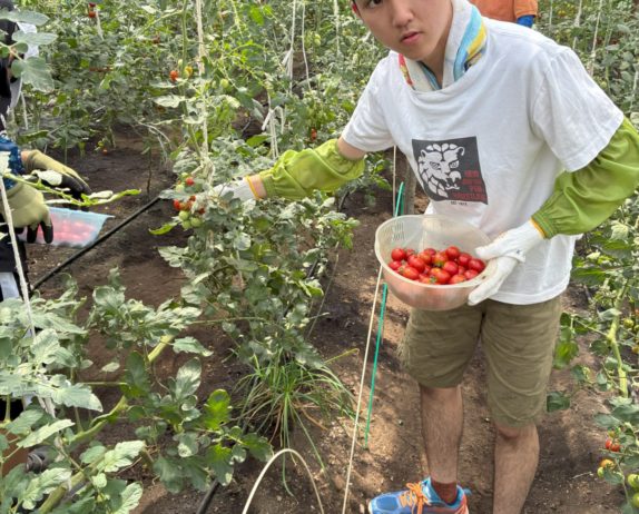 のあ：夏休みにお仕事体験をしました🍅