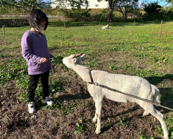 のあ：すきなこと💕