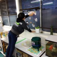 ぱぷりか：ハロウィン飾りつけ