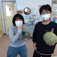 のあ：カボチャの収穫🫑