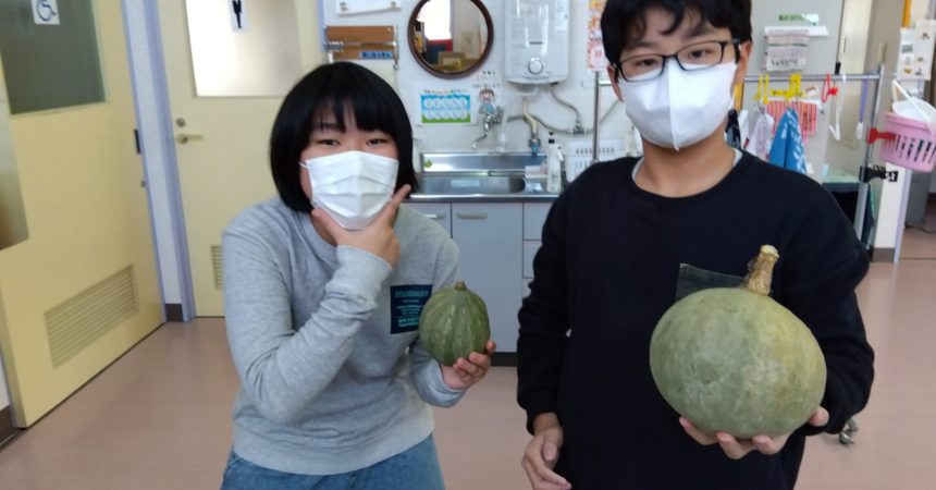 のあ：カボチャの収穫🫑