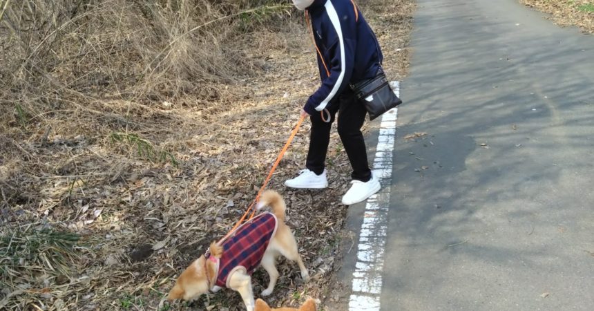 のあ：苦手克服！