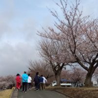 のあ：お散歩に行こう！～東霊園編～