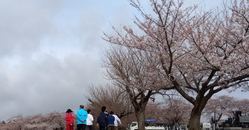 のあ：お散歩に行こう！～東霊園編～