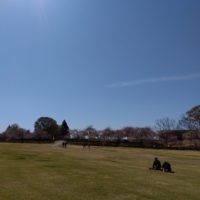 ぱぷりか：根城ひろばで遊ぼう