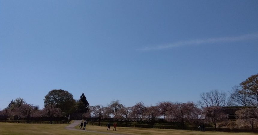 ぱぷりか：根城ひろばで遊ぼう