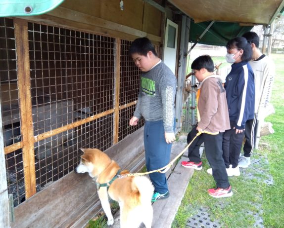 のあ：4月の動物ふれあい