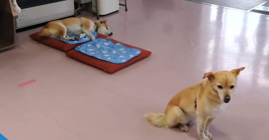 のあ：反省中？