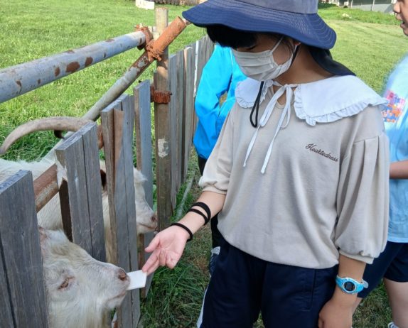 のあ：動物ふれあい