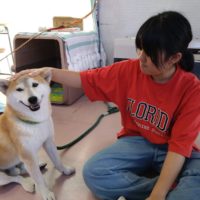 のあ：楽しいね～♪